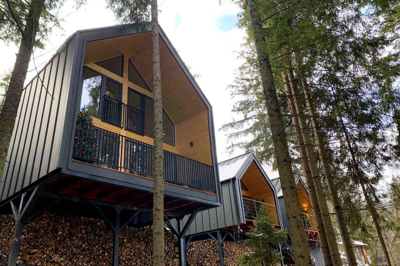 Villa Alpiyka Славске Екстериор снимка