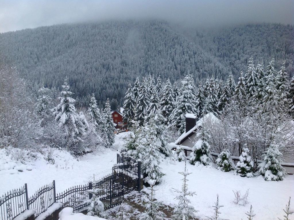 Villa Alpiyka Славске Екстериор снимка