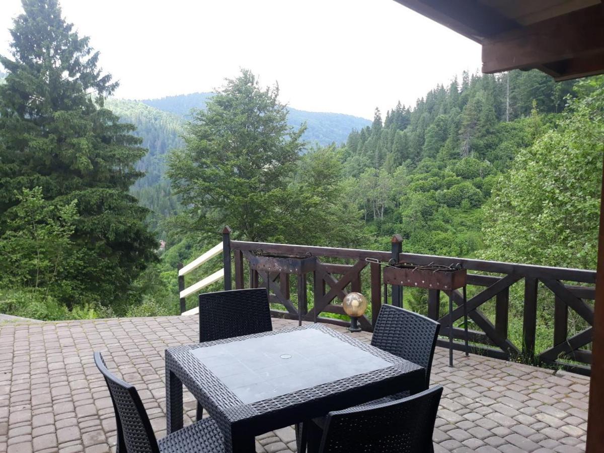 Villa Alpiyka Славске Екстериор снимка